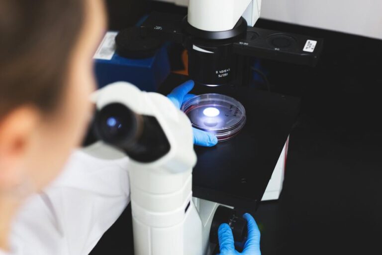 science-examining-magnifiers.jpg